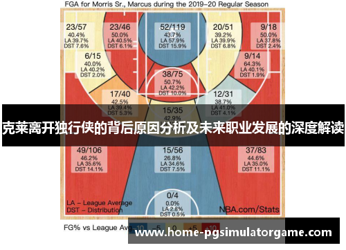 克莱离开独行侠的背后原因分析及未来职业发展的深度解读