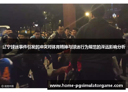 辽宁球迷事件引发的冲突对体育精神与球迷行为规范的深远影响分析