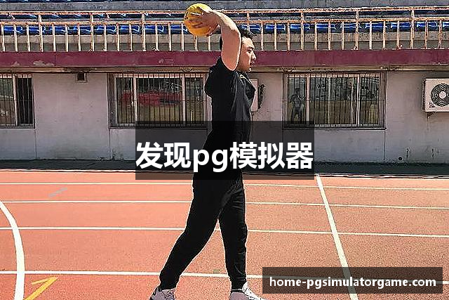 发现pg模拟器